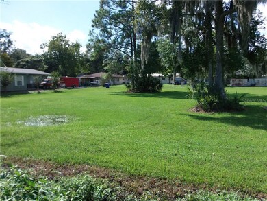 TBD N Rockingham Ave, Tavares, FL 32778 - photo 2