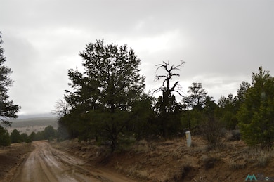 Lot 216 and 217 Old Well Rd, Candy Kitchen, NM 87321 - photo 2