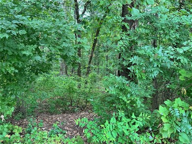 Lots 3 & 4 Elton Ln, Bella Vista, AR 72714 - photo 3