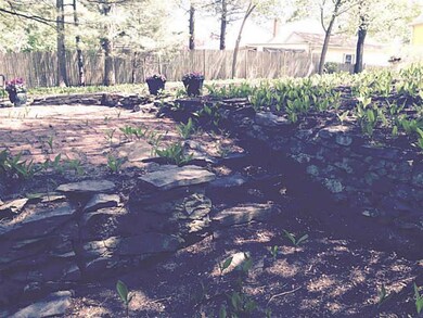 Yard/Garden.