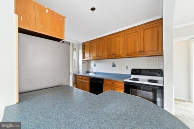 228 Hunter Ave, Trenton, NJ 08610 - photo 6