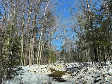 360 Dorman Rd, Andover, VT 05143 - photo 2