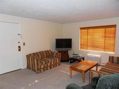 300 Swanson Rd unit 219, Boxborough, MA 01719 - photo 3