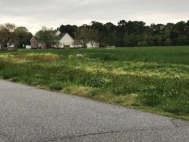 Typical view in the subdivision