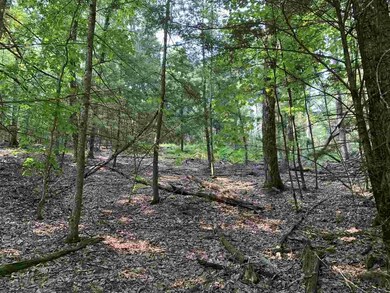 Lot 1 TBD Cherry Hill Rd, Stone Ridge, NY 12484 - photo 2