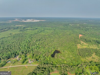 0 County Line Rd unit 10539097, Jenkinsburg, GA 30234 - photo 6