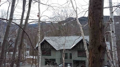 58 Westview Rd, Lincoln, NH 03251 - photo 4