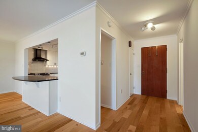 The Westbridge Condominiums unit 912, Washington, DC 20037 - photo 7