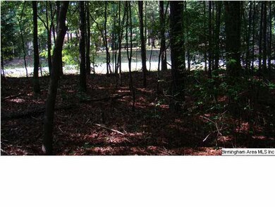 FLAT LOT WITH HUGE WIDE FRONTAGE...PERFECT TO BUIL