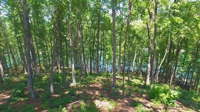 Lot 29 Little Keowee Bay, West Union, SC 29696 - photo 4