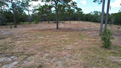 0 SE 53rd Ln, Morriston, FL 32668 - photo 4