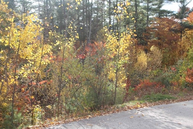 3 Beechwoods Dr, Bartlett, NH 03845 - photo 5