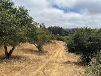 3230 Hillman Ln, Royal Oaks, CA 95076 - photo 7