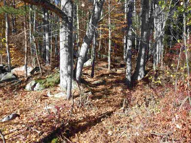 10 Basin Rd, Mirror Lake, NH 03853 - photo 3