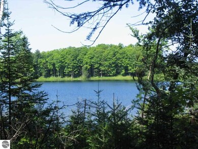 2630 Huffman Lake Rd, Vanderbilt, MI 49795 - photo 5