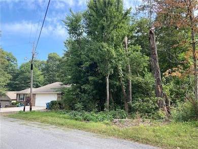 34 Dulverton Dr, Bella Vista, AR 72715 - photo 3