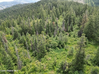 Possible Build Site