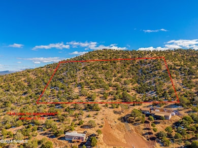 Aerial Lot View
