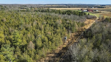 Lot 3 Maple Ln, Grant, WI 54486 - photo 6