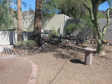 9801 N 16th Place, Phoenix, AZ 85020 - photo 5