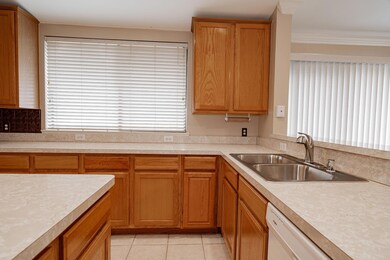 Kitchen Sink and Island