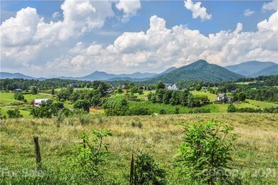 14 Timber Hill Dr, Leicester, NC 28748 - photo 5