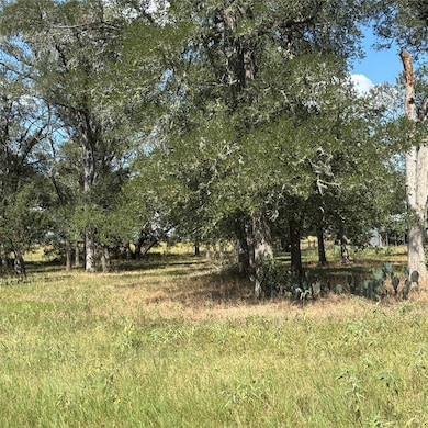 2477 W Highway 159, La Grange, TX 78945 - photo 3