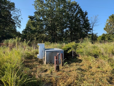 000 E Farm Road 68 unit Parcel 3, Strafford, MO 65757 - photo 2