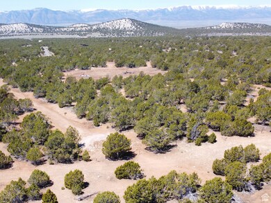 Drone / aerial view of the lot facing west