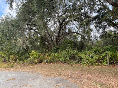 TBD SE 97th Ct, Summerfield, FL 34491 - photo 4