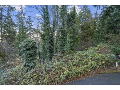 18520 Hillside Ct, West Linn, OR 97068 - photo 3