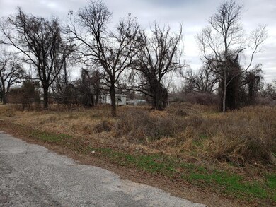 146 Pawnee Trail, Horseshoe Bend, TX 76087 - photo 5