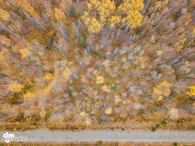 10579 N Little Lonely Lake Rd, Willow, AK 99688 - photo 3