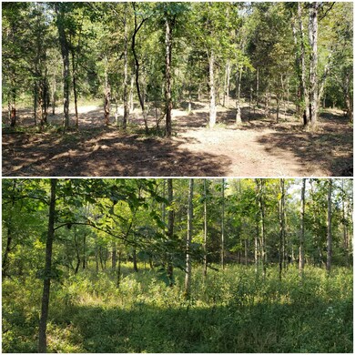 5125 Bohon Rd, Harrodsburg, KY 40330 - photo 4