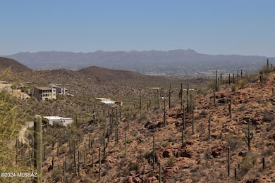 #28E = 3.85 AC LOT (2)