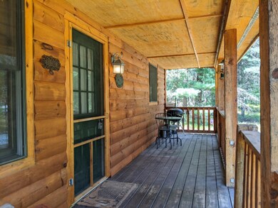 8977 S Jordan St, Idlewild, MI 49642 - photo 4