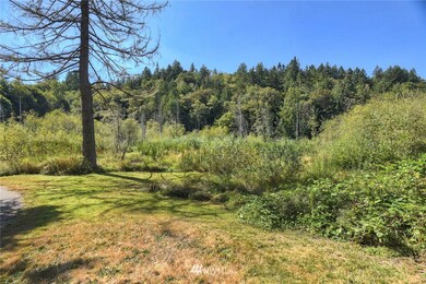 This is part of your 4.25 acres with creek running through - with salmon! Anderson Landing Reserve in background.