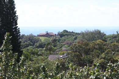 4907 Kikala Rd unit 1 and 2, Kalaheo, HI 96741 - photo 6