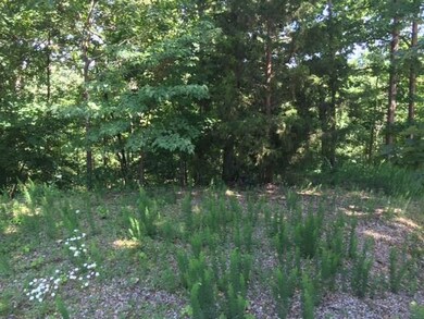 Lot 22 Box Cir, Bella Vista, AR 72714 - photo 2