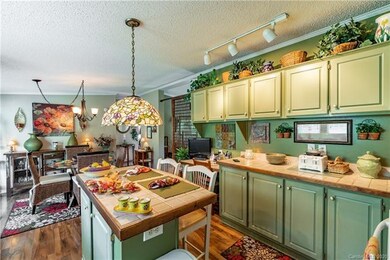 251 Walt Haven Dr, Leicester, NC 28748 - photo 5