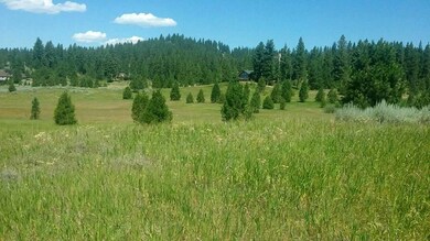 Rolling Terrain & Peppered With Trees