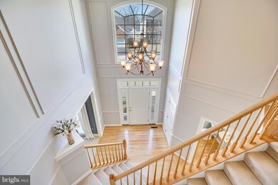 832 Queens Park Dr, Owings Mills, MD 21117 - photo 2