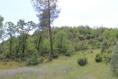 IMG_1906