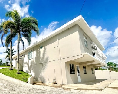 919 Carr 919 unit Lot 7, Juncos, PR 00777 - photo 6
