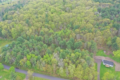 0 Kilkenny Rd, Unadilla, NY 13849 - photo 5