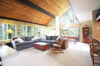 4 Sunnyside Way unit 4, Waterville Valley, NH 03215 - photo 3