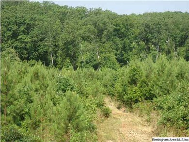These photos taken 6/23/12 show the trails are lar
