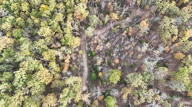 DJI_20251031165144_0314_D