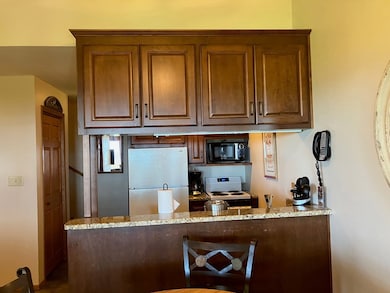 4908 Landmark Cir unit 1321, Egg Harbor, WI 54209 - photo 7