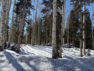 thumbnail_IMG_8600